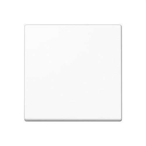 Simple Alpine White Frame Series A with reference A590BFWW from the brand JUNG
