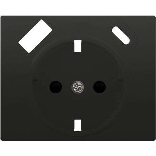 Schuko-pistorasian kansi kaksois-USB:llä antrasiitti cosso Mega viitenumerolla 22724-USBC-AC brändiltä BJC